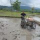 Satgas Yonif 741/GN Pos Delomil Turun Ke Sawah Bantu Petani Tanam Padi Di Perbatasan RI-RDTL